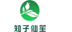 知子仙笙